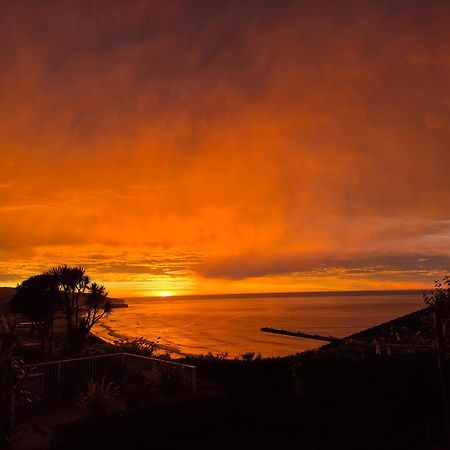 Rosemount B&B By The Sea St Clair Dunedin Exterior foto